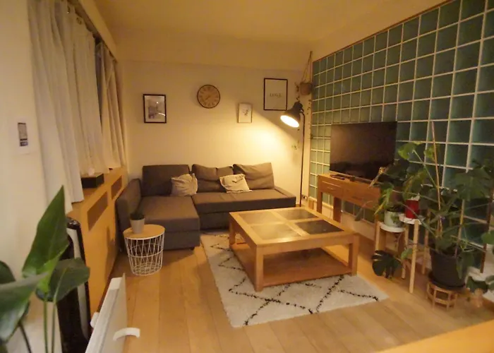 Brusselshomes